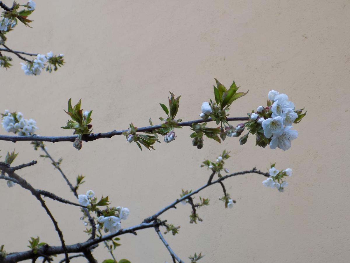 Casa Rural Generoso Madronal 外观 照片