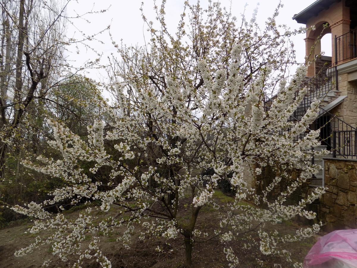 Casa Rural Generoso Madronal 外观 照片